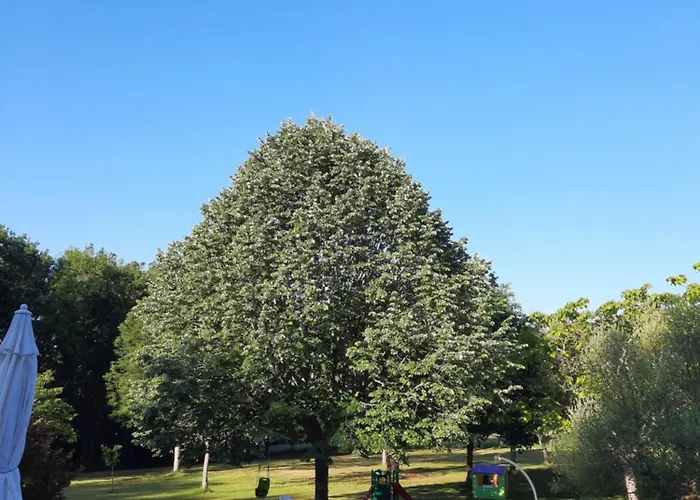 Guest house Au Bonheur D'angeline